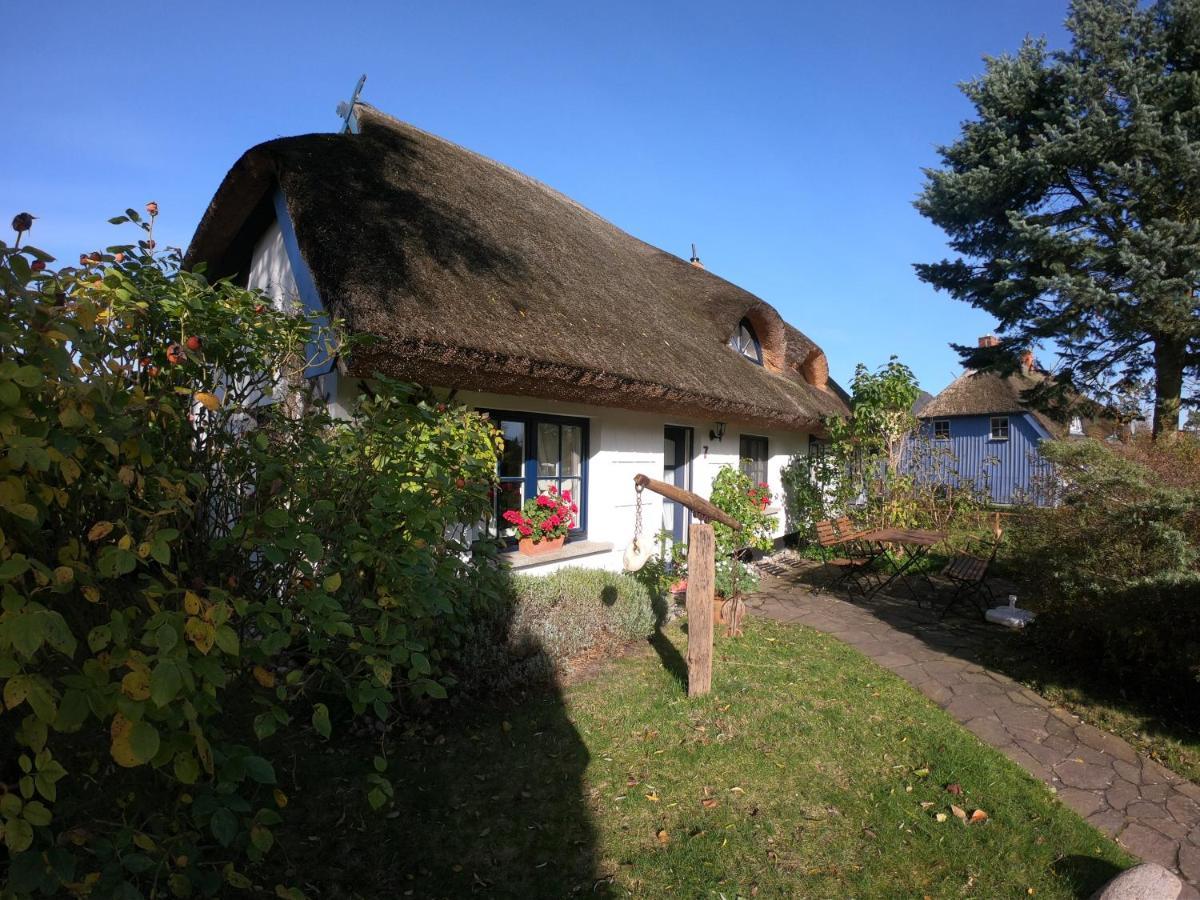 Landhaus Darss Wieck Exterior foto