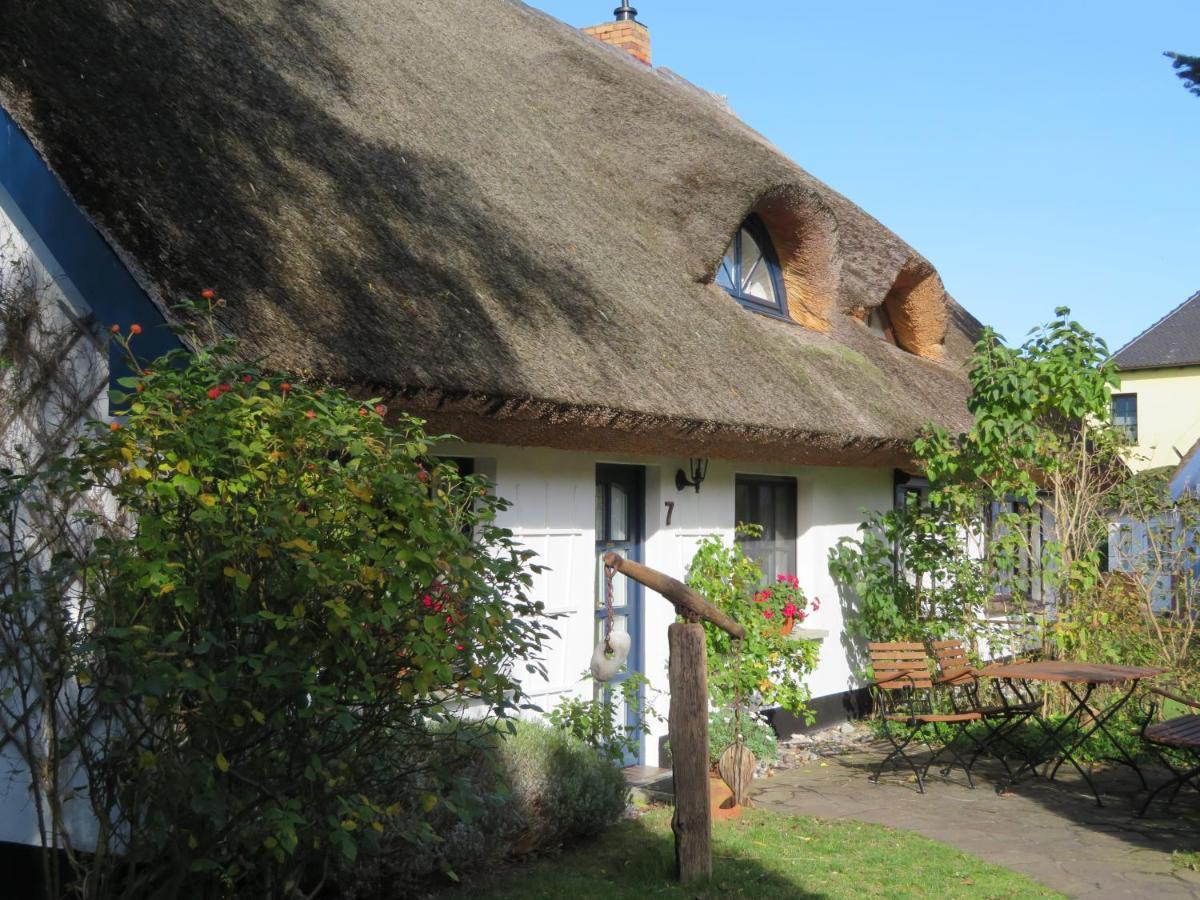 Landhaus Darss Wieck Exterior foto